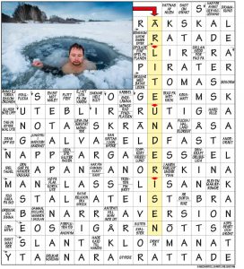 Korsord (43)