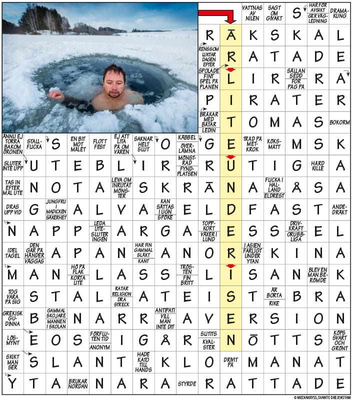 Korsord (43)